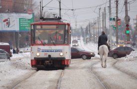 Туляки сами решат, какой транспорт необходим городу