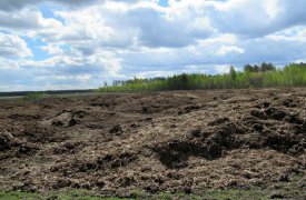 В Богородицком районе обнаружили целое поле куриного помета