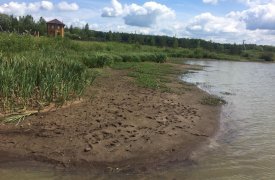 Местные жители негодуют: в Ясногорском районе спускают огромное озеро