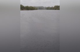 Масляное пятно на Любовском водохранилище ликвидировали