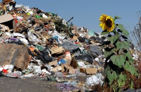 В Богородицком районе обнаружили 2000 квадратных метров незаконных свалок