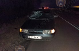 В Узловском районе автоледи насмерть сбила пешехода