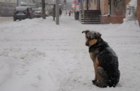 Прогноз погоды в Тульской области на 18 ноября