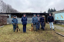 Тульские кинологи УФСИН передали щенков рязанским коллегам