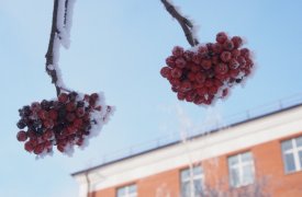 Прогноз погоды на 8 февраля в Тульской области