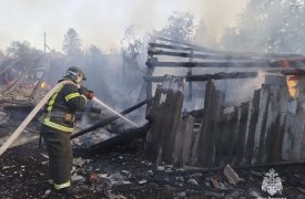 Девять пожаров ликвидировали тульские спасатели за прошедшие сутки