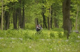 Прокуратура добилась защиты лесов в Тепло-Огарёвском районе