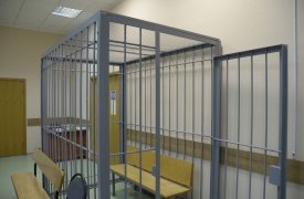 Житель Донского попал под арест за выращивание конопли у дома