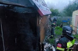 Четыре пожара и одно ДТП ликвидировали спасатели в Тульской области за сутки