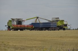 Агрофирмы Тульской области скрывали данные об опасных пестицидах