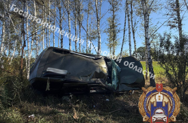 Автоледи на Renault влетела в дерево на трассе в Заокском районе Тульской области