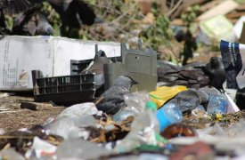 Несанкционированную свалку обнаружили на полях под Тулой