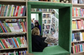 Вторую модельную библиотеку открыли в Ефремове Тульской области