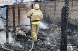 В Тульской области ликвидировали два пожара за сутки