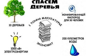 25 июля в Туле пройдет очередной сбор макулатуры и отработавших батареек