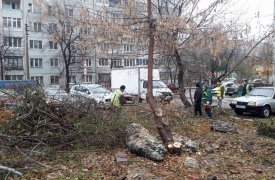 В Советском округе сносят незаконные постройки и спиливают деревья