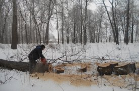 В Боташевском саду Тулы активно наводят порядок