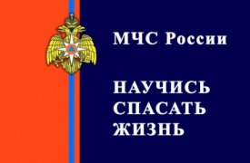В центральном парке Тулы пройдет акция Всероссийского проекта «Научись спасать жизнь!»