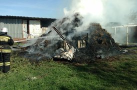 В Бородицком районе стог сена тушило 7 огнеборцев