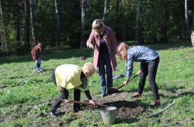 В Тульской области восстановили утраченный яблоневый сад семьи Поленовых