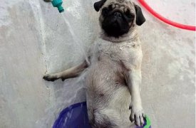 13 марта на проспекте Ленина и в Мясново не будет воды