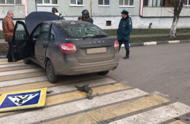 Женщина пострадала в массовом ДТП в Новомосковске