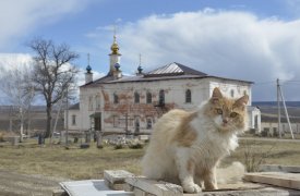 Белев - крепость-ровесник Москвы