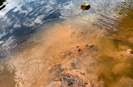 В реку Дон сливают ярко-коричневые неочищенные стоки