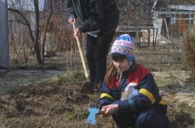 Мир, май, труд на тульских грядках