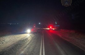В Алексинском районе 80-летняя женщина погибла под колесами автомобиля Ford