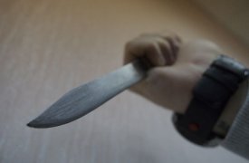 В Тульской области пожилая женщина убила жену своего внука