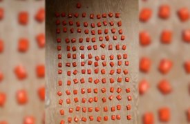 В Туле гражданин ближнего зарубежья пытался спрятать 131 закладку с героином