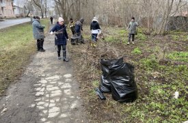 11 тысяч туляков приняли участие в общегородском субботнике