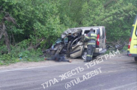 Смертельное ДТП произошло в Алексинском районе Тульской области