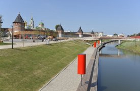В Туле собираются выслеживать стаи бродячих собак с помощью искусственного интеллекта