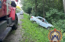 «Ладу» отбросило в дерево в Богородицком районе Тульской области — двое пострадали