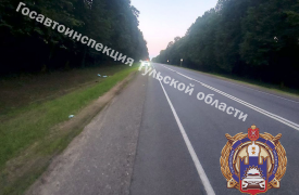 Мужчину насмерть сбили на трассе в Чернском районе Тульской области