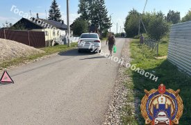 Подросток попал под колеса иномарки в Щекино Тульской области