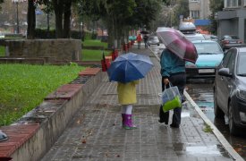 Тепло и дожди: прогноз погоды в Тульской области с 21 по 25 июля