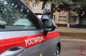 28 правонарушений удалось пресечь в Тульской области за прошедшую неделю