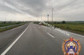 Под Новомосковском нетрезвый водитель влетел в дорожный знак — пассажир попал в больницу