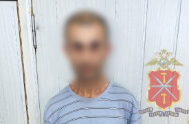 Судимый житель Новомосковска обокрал дачу пенсионерки ради спиртного