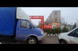 В Туле заработали елочные базары: ВИДЕО